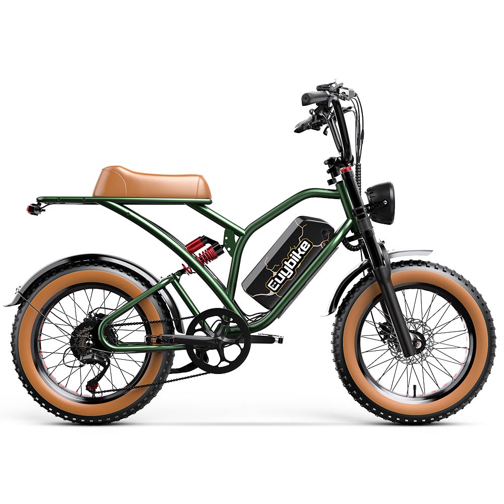 S4 Long Range Moped-Style Electric Bike