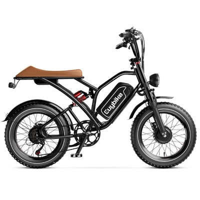 Euybike S4 Pro Dua Motor Fat Tire EBike