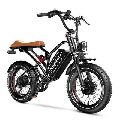 Euybike S4 Pro Dual Motor Fat Tire Electric Bike