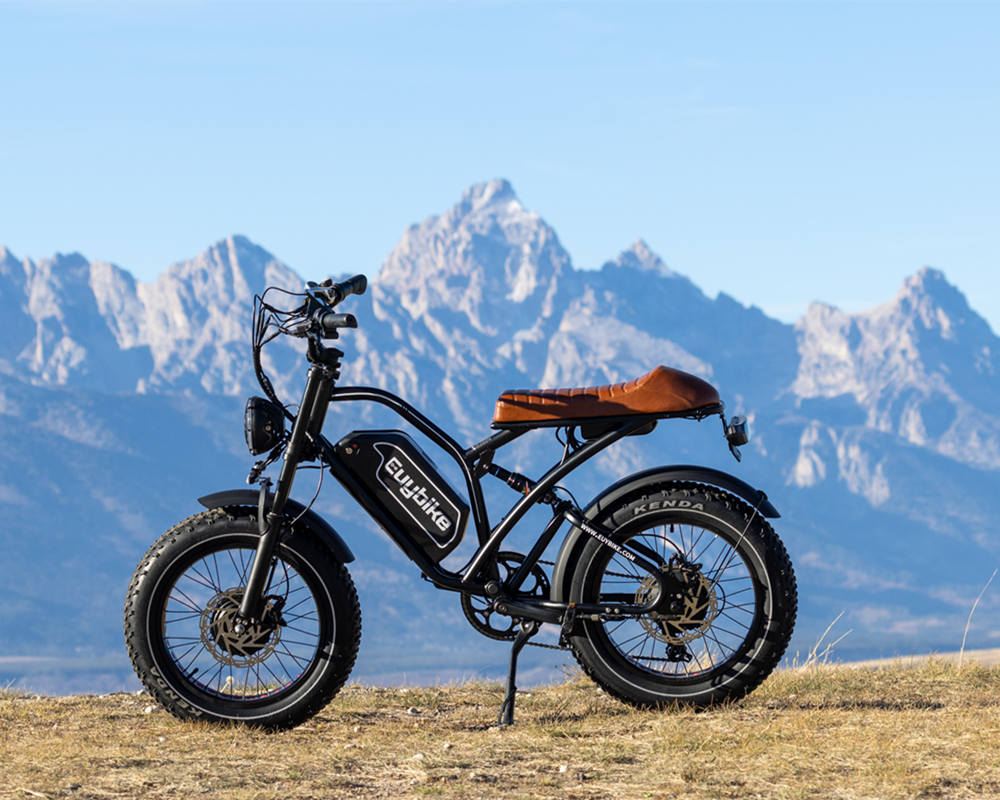 Euybike S4 Pro Max Dual Motor Electric Bike In the Hills