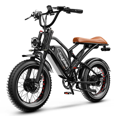 Euybike S4 Pro Max Dual Motor Fat Tire Electric Bike