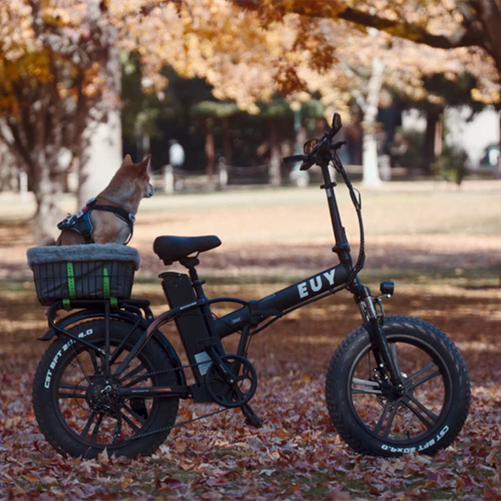Beautiful view of Long Range Electric Motorcycle